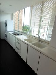 Balmoral Crest (D10), Apartment #485466751